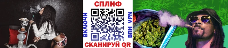 Где найти наркотики Жирновск Канабис  COCAIN  АМФЕТАМИН  Галлюциногенные грибы  Альфа ПВП  ЭКСТАЗИ  Гашиш 