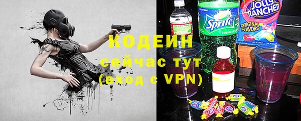 прущие грибы Вяземский