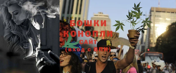 прущие грибы Вяземский