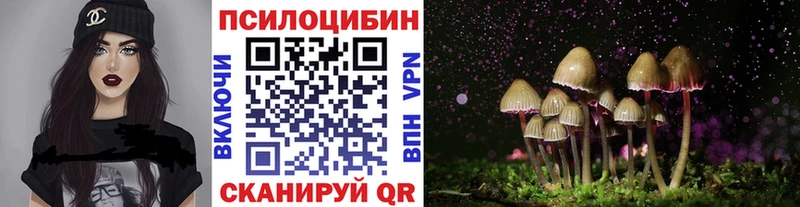 даркнет сайт  Жирновск  Галлюциногенные грибы Magic Shrooms 